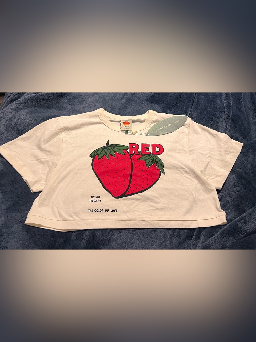 FARM Rio Red Color Therapy Strawberry Graphic Crop Tee XL NWT